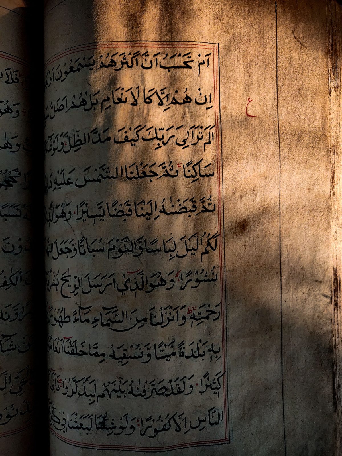 Zakat al-mâl : Quelle est son histoire et ses origines ?